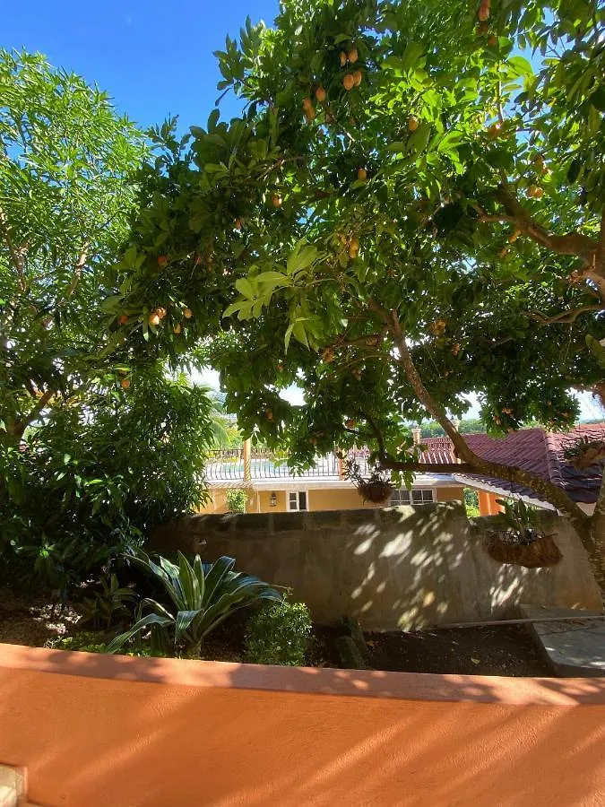 מונטגו ביי Mobay Vacation Village 0*, מונטגו ביי ג'מייקה
